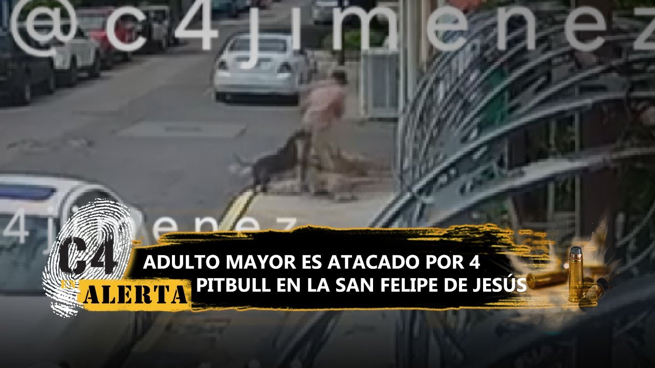 Don Marco es atacado por 4 perros de su vecino tras defender a su mascota