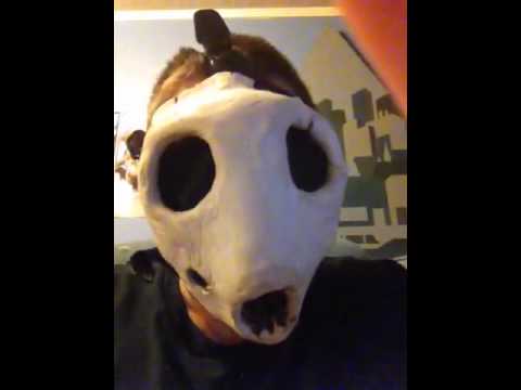 Bone Man's No Coast Recap