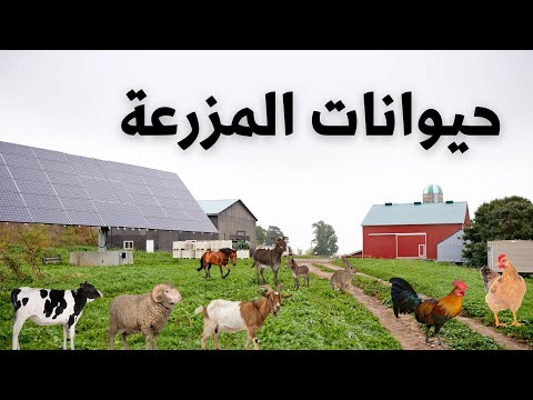 أسماء حيوانات المزرعة بالعربية للأطفال مع الأصوات Farm animal names in Arabic for kids with sounds