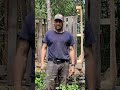 How Forrest Gump Outsmarted Heaven S Gate