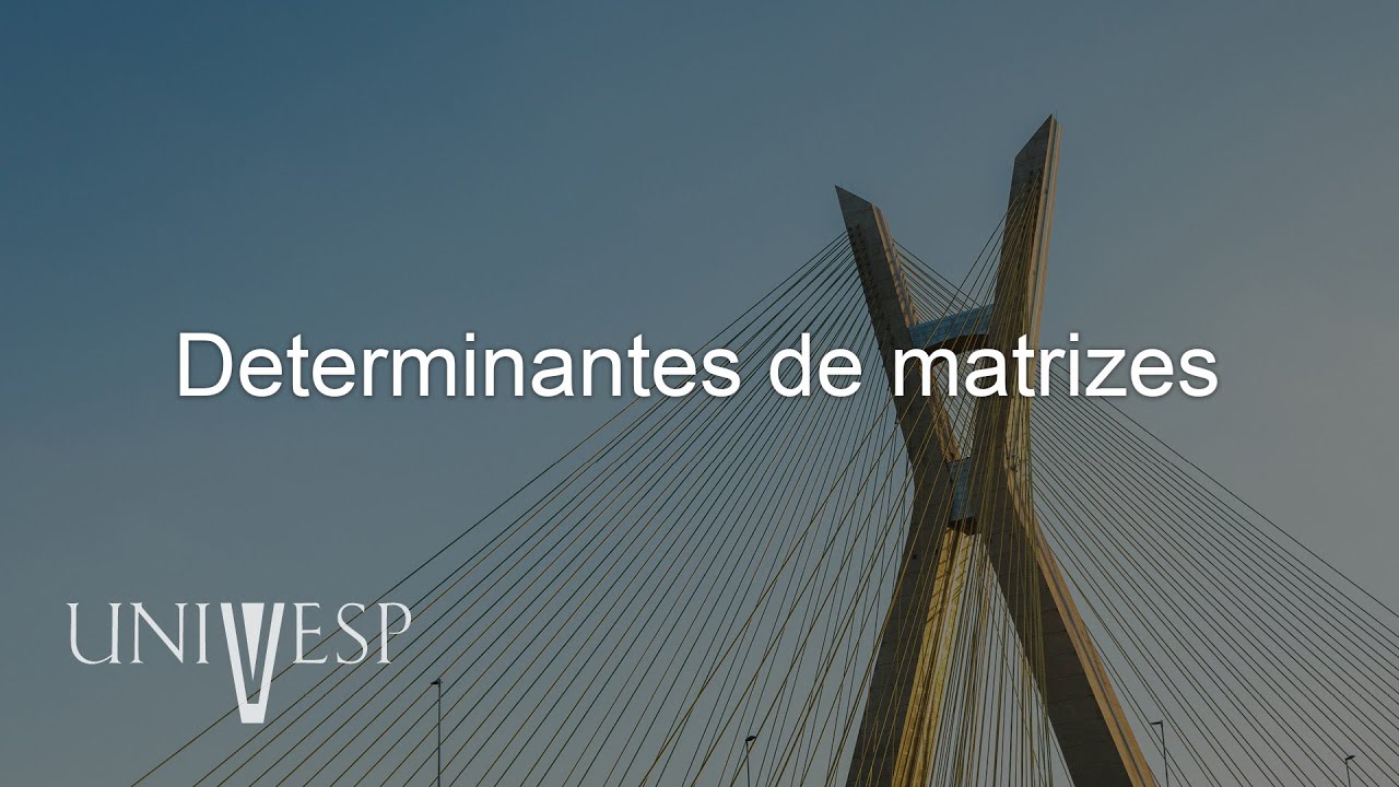 Geometria analítica e álgebra linear - Determinantes de matrizes