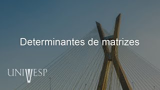 Geometria analítica e álgebra linear - Determinantes de matrizes