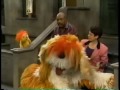 Sesame Street Merry Monster Scares People