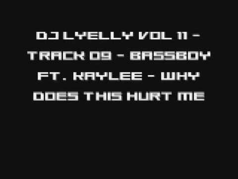 DJ Lyelly Vol 11 - Track 09 - Bassboy ft. Kaylee - Why Does This Hurt Me