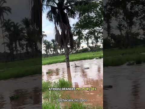 Enchente no riacho da cidade de São Domingos do Azeitão-Ma.#notícias #enchente #chuva
