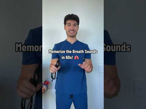 Memorize the Breath Sounds in 60s! 🫁🩺 #shorts #medstudent #medicalschool #osce #pulmonology #med