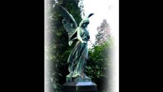 Stream Of Passion - Embrace The Storm