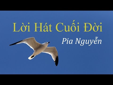 Lời hát cuối đời - Pia Nguyễn
