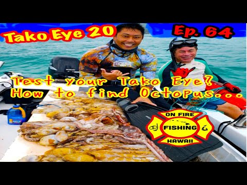 HOW TO FIND OCTOPUS TAKO IN HAWAII, Tako Dive, Spearfishing Hawaii, Catch and cook, Ep64