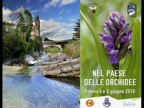 Palena paese delle Orchidee di Nando Napoleone
