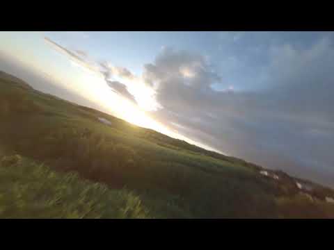 Cruising Through The Fields