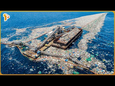 The U.S.  Removed 45 Million Tons of Ocean Plastic — What Happened Next Is Incredible