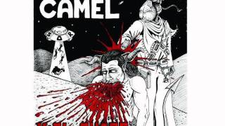 Fang - Skinheads Smoke Dope - ( The Camel - Cover )