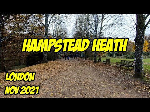 Hampstead Heath, London, England, November 2021 #walkingtour