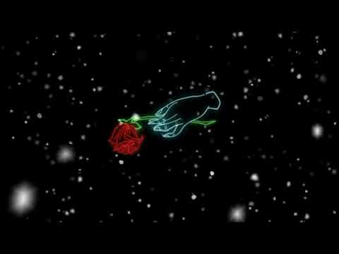 Bunga citra lestari feat. Dipha Barus - aku wanita VERSION NEON TUMBLR LIGHT