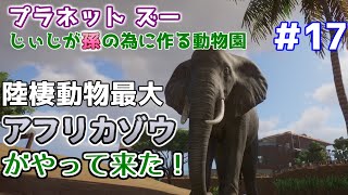 【Planet Zoo】じぃじが孫の為に作る動物園 #17【アフリカゾウ】