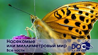 Насекомые или миллиметровый мир - Все части - Документальный фильм.