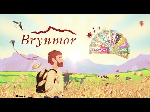 Brynmor - Customer Success Story
