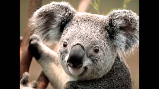 Johnny Mathis   A Big Old Heart Full of Love