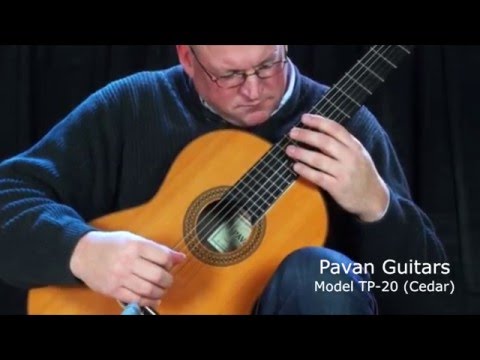 Pavan TP-20  Cedar Spanish Classical Guitar image 11