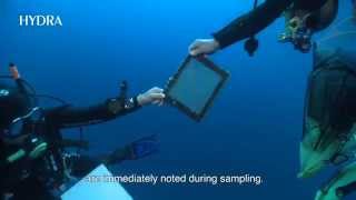 Plastic in the Sea - Research Project OPEN-BIO