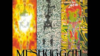 Meshuggah- Suffer in truth