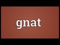 Gnat Meaning 
