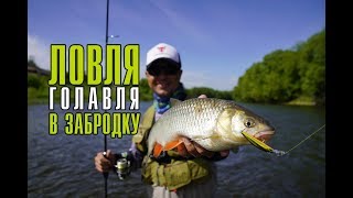 Рыбалка весной на доне в тульской области