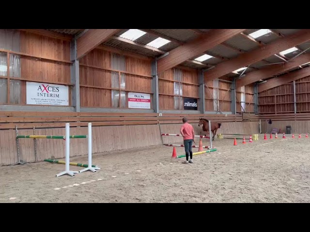 Pouliche sf 