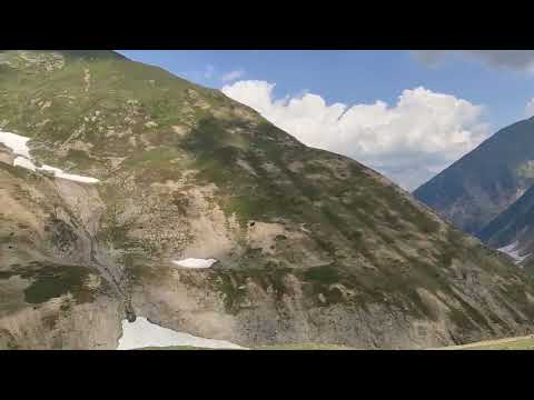 Noori Top ( Dancing Flowers at Noori Top)