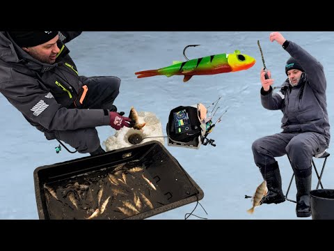 Ahvenet Sekosivat - Testissä 3 cm pikku Puru - Pilkkijigi maistui ahvenelle - Ahvenen pilkintä