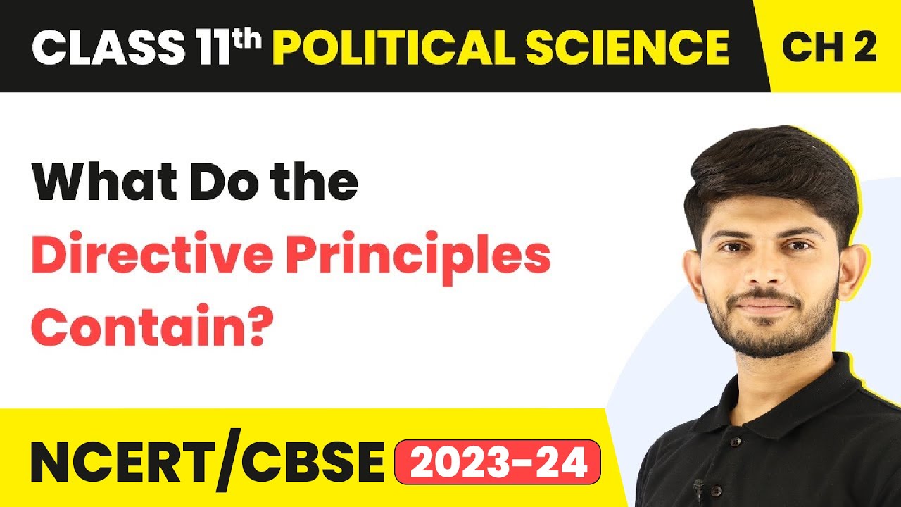 What Do the Directive Principles Contain? - Rights In The Indian Constitution|11th Political Science