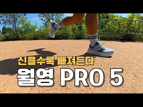 알리에서 러닝화 옴. 월영5 프로