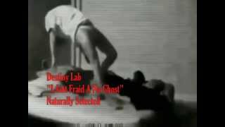 Destiny Lab  "I AINT FRAID A NO GHOST"