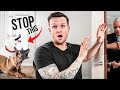 How To STOP Your Dog From FREAKING Out When People Come Over Dog Training Video