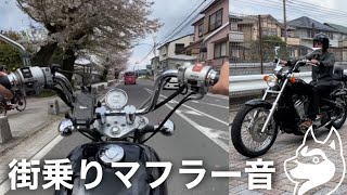 スティード400 街乗り マフラー音 #steed #steed400 #アメリカンバイク #排気音 #マービング