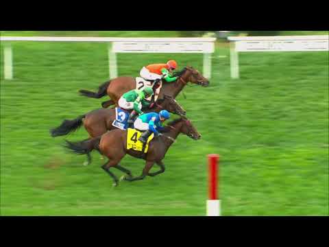 2017 Matriarch Stakes