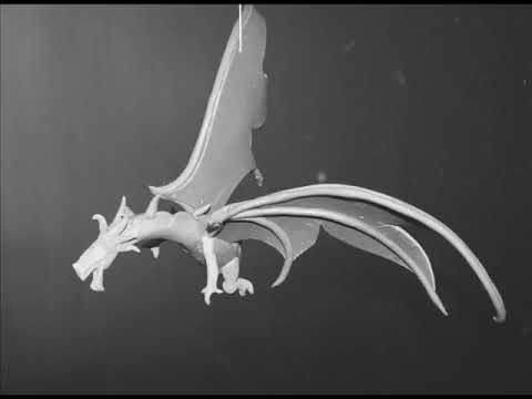 Afición al rock - Paola Pineda