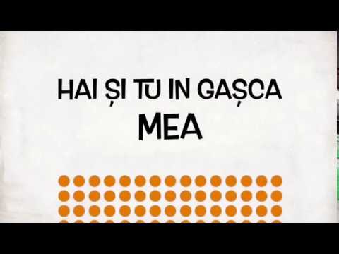 Valentin Poienariu Promo II