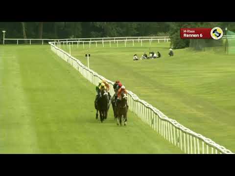 Großer Dallmayr-Preis 2021