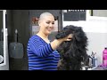 Candice LV Pt 2 SUPER Long To Completely Bald Free Video