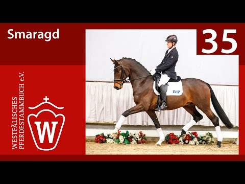 35 Smaragd  Wallach v. Sunday - Fürst Piccolo