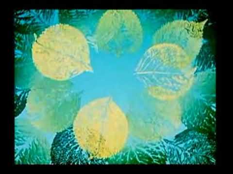 Pohádky z mechu a kapradí - Jak Křemílek a Vochomůrka hledali pět peněz