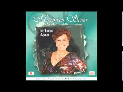 Video Yükleniyor...