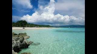 Dave Stewart   Lily Was Here