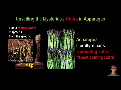 Unveiling the Mysterious Cobra in Asparagus