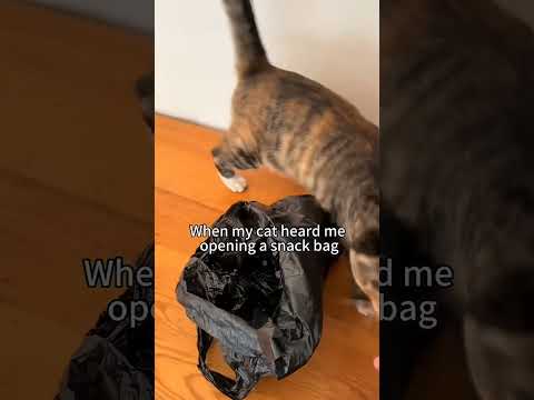 #foryou #fyp #fypシ゚viral