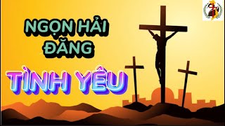 LTMV CN IV MÙA CHAY B - Lm Nguyễn Kim Sơn - Thực hiện: Nhóm NSLC