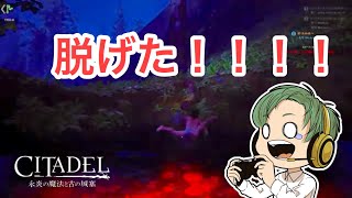 シタデル実況雑談プレイ11!!チャット参加待ってます！