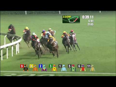 Happy Cooperation - Karis Teetan (24 May)